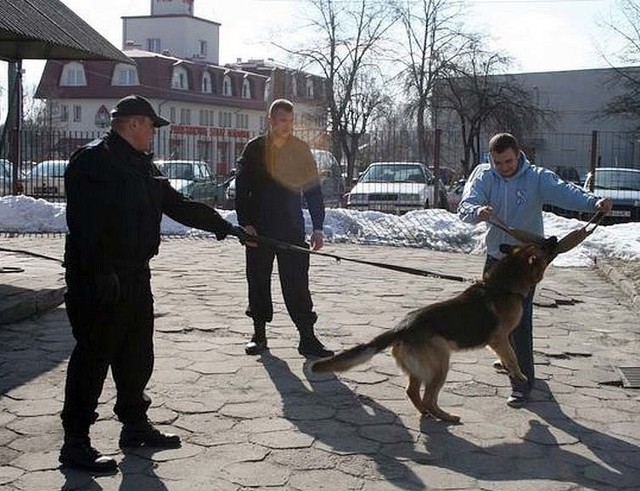 Licealiści uczestniczyli w tresurze policyjnego psa