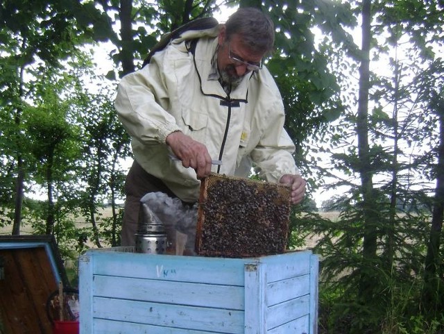 Stanisław Kalembkiewicz wszedł w układ z okolicznymi rolnikami. Oni robią na polach miejsce dla uli, a pszczoły zapylają uprawy.