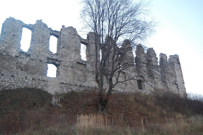 Zamek w Rabsztynie w 2008 r