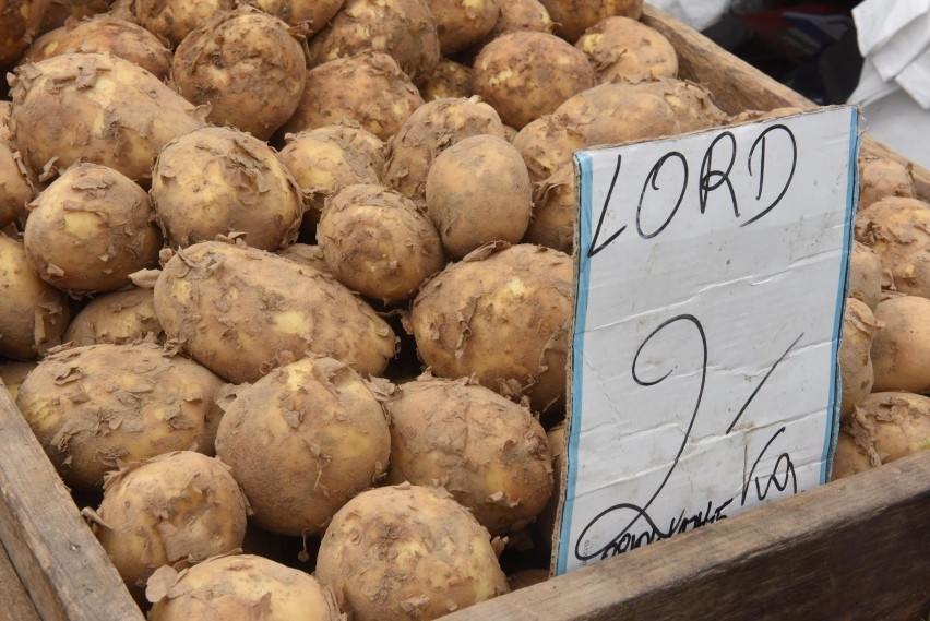 Ziemniaki, placki, frytki, pyzy itp. produkty bazujące na...