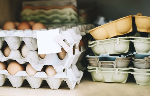 Jeśli lubisz jajka, to prawdopodobnie masz w domu sporą kolekcję wytłaczanek. Nie muszą zbierać kurzu, ani lądować w koszu na śmieci. Tak je wykorzystasz.