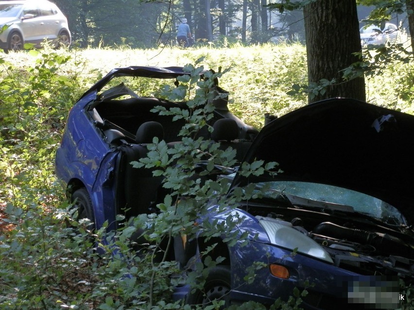 Śmiertelny wypadek w Mścicach. Ford uderzył w drzewo [nowe fakty, zdjęcia, wideo]