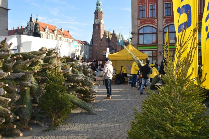 RMF FM rozdaje choinki we Wrocławiu. Na pl. Solnym tłumy