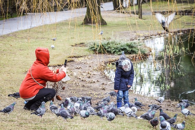 Minusowe temperatury, zwłaszcza w nocy, nie będą odpuszczać w najbliższym czasie. Pojawią się też różne opady i silne wiatry.