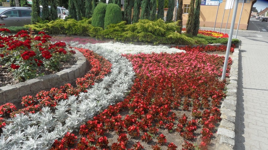 VI Przegląd Orkiestr Dętych w Bieruniu