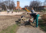 Wrocław: Porządki i remonty w miejskich parkach. Sprawdź, co zrobią koło Ciebie (HARMONOGRAM)