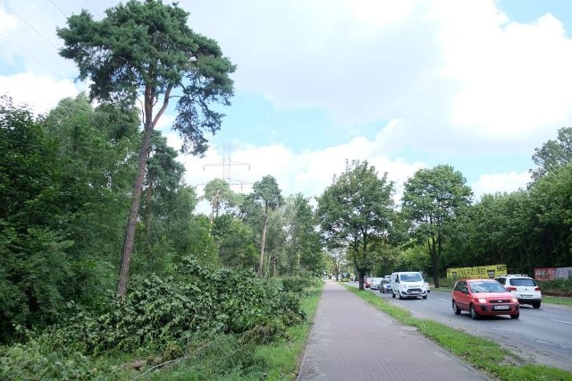 Budowa dróg do spalarni: Wycinają drzewa przy Gdyńskiej