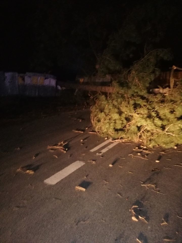 Wichura na Sądecczyźnie. Ponad 160 interwencji strażaków. Powalone drzewa, zerwane dachy