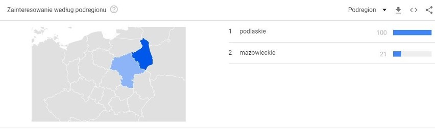 MATURA 2020. Podlaska afera wokół egzaminu z języka polskiego. Policja bada sprawę wycieku tematu rozprawki