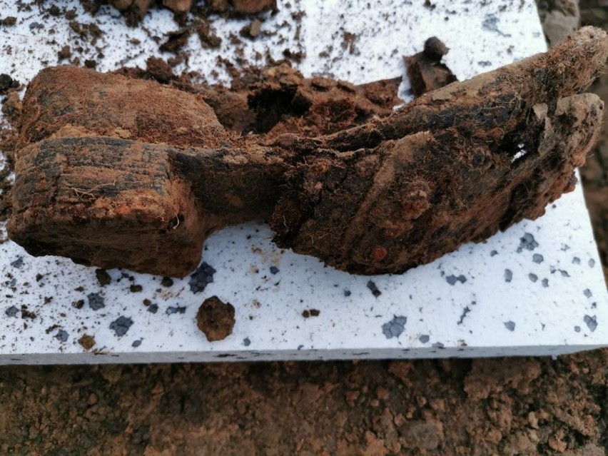 Fragmenty szkieletu znalezione podczas prac budowlanych w Sędziszowie Małopolskim [ZDJĘCIA]
