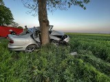 Śmiertelny wypadek w powiecie wieruszowskim. 19-latek rozbił się na drzewie 