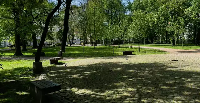 Wiosna ożywiła Park Zamkowy w Mysłowicach. Kolorowe kwiaty i śpiew ptaków