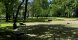 Wiosna ożywiła Park Zamkowy w Mysłowicach. Zobacz jak prezentuje się miejsce