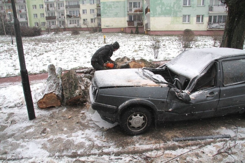 Porywisty wiatr w Kielcach. Drzewo spadło na auto 