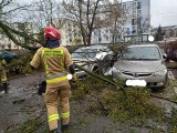Kilkadziesiąt interwencji strażaków w Toruniu i okolicach - powodem porywisty wiatr