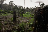 Na ratunek Amazonii. Południowoamerykańskie państwa pracują nad wspólną polityką środowiskową