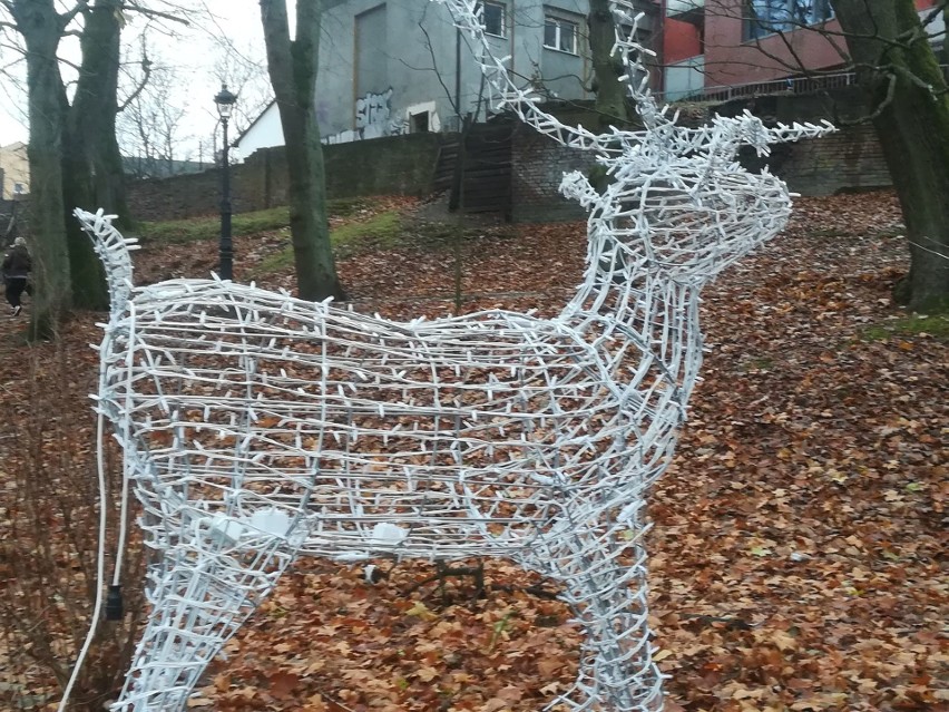 W wielu miejscach w Koszalinie pojawiły się już pierwsze...