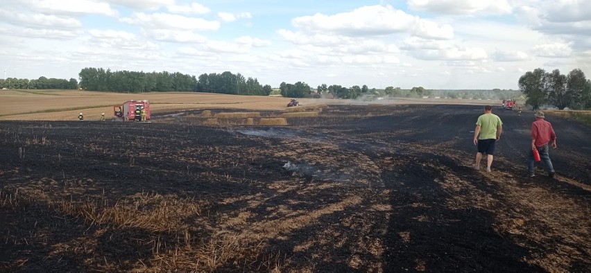 Tak wyglądają pola w Łopatkach w gminie Książki po pożarze