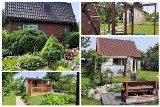 Białystok. Rodzinne ogródki działkowe na Jaroszówce. Białostoczanie tworzą tu swoje zielone oazy (zdjęcia)