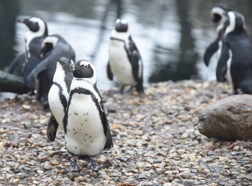 Łódzki ogród zoologiczny