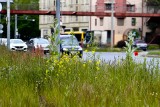 Koszenie trawy we Wrocławiu. Sprawdź, czy będą ją kosić na Twojej ulicy. Harmonogram