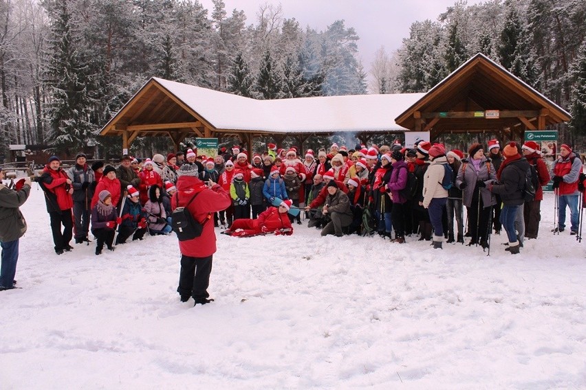 W Królewskich Źródłach odbył się IX Mikołajkowy Marsz Nordic-Walking