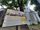 Trwa remont najstarszego kościoła w Kluczborku. To jeden z najcenniejszych zabytków w mieście [ZDJĘCIA]
