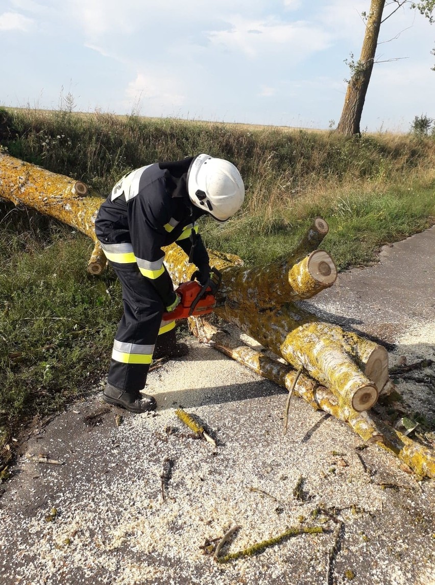 W Krynkach, o godz. 16.45, strażacy OSP zostali...