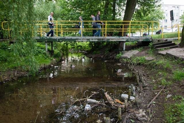 Uporządkowania wymaga nie tylko koryto Strugi Toruńskiej, ale także jej nabrzeża i alejki wzdłuż rzeczki