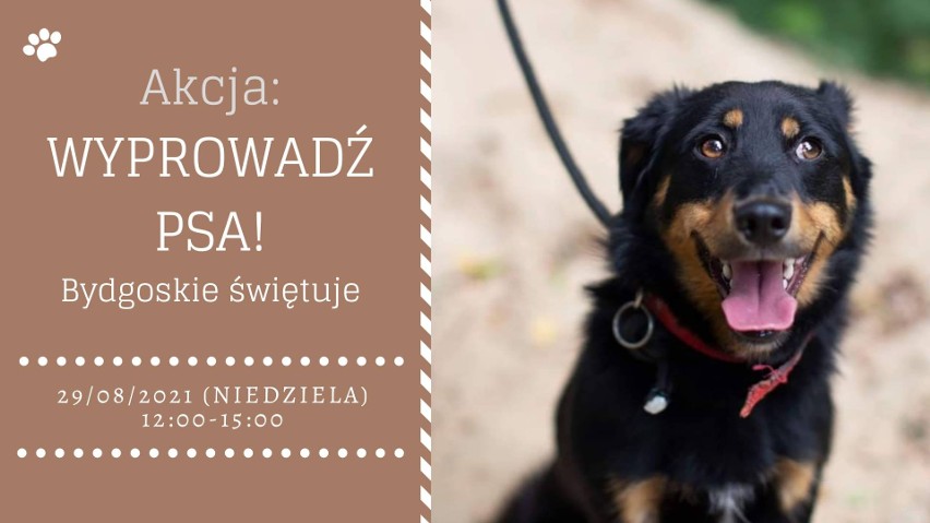 W niedzielę w godz. 12-15 każdy będzie mógł wyprowadzić na...