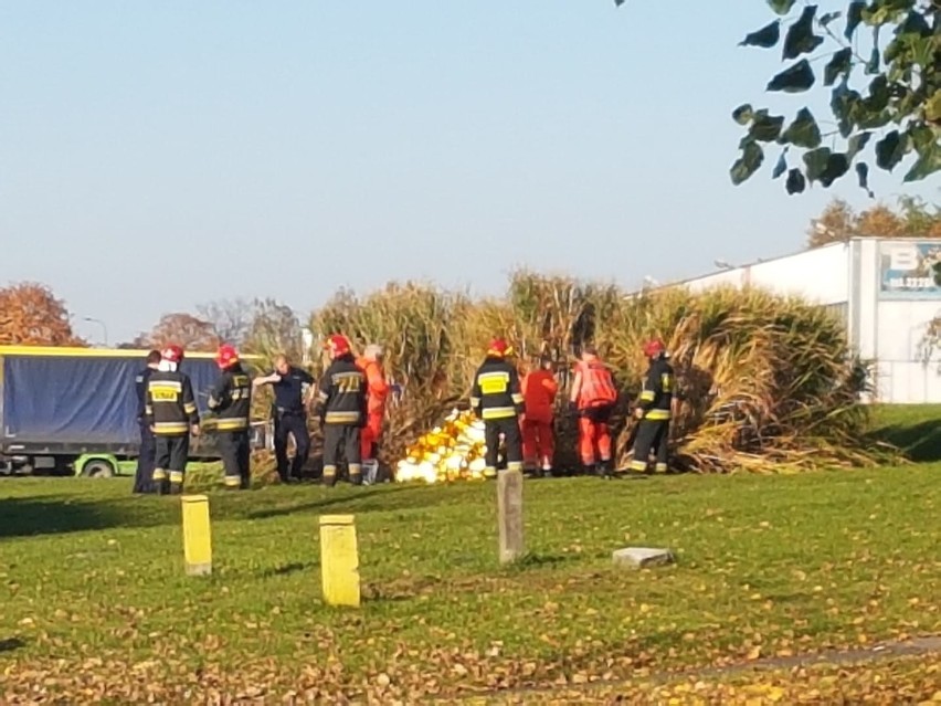 Makabryczne znalezisko w Dąbrowie Górniczej. Zwłoki kobiety...