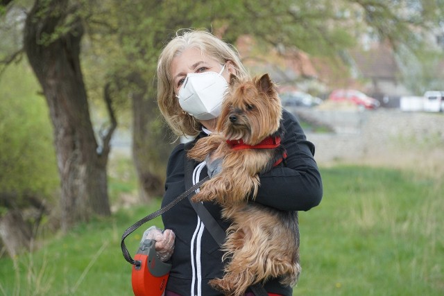 Jedna piąta właścicieli zwierząt to ci, którzy adoptowali lub kupili zwierzaka w czasie pandemii. Czyżby izolacja i lockdown wpływały na większą potrzebę posiadania pupila? Jakie zwierzęta adoptujemy i kupujemy najczęściej? Zobaczcie na kolejnych slajdach. Możecie na nie przechodzić za pomocą strzałek lub gestów.