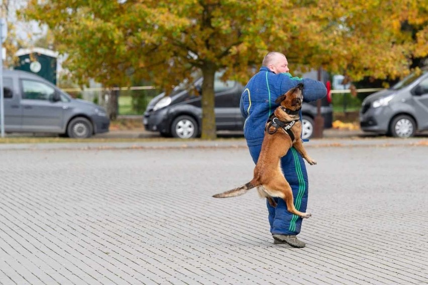 Policyjne psy z Podlasia rywalizowały w zawodach na Litwie. Mulka ze swoim przewodnikiem stanęła na podium [ZDJĘCIA]