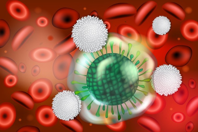 Kiedy jesteśmy zakażeni wirusem, do akcji ruszają limfocyty