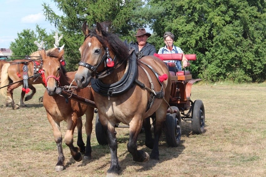 Gmina Gorzyce zaprasza na V Zlot Furmanek w Furmanach. Parada woźniców, zawody zaprzęgów konnych i atrakcje dla widzów w niedzielę 17 lipca
