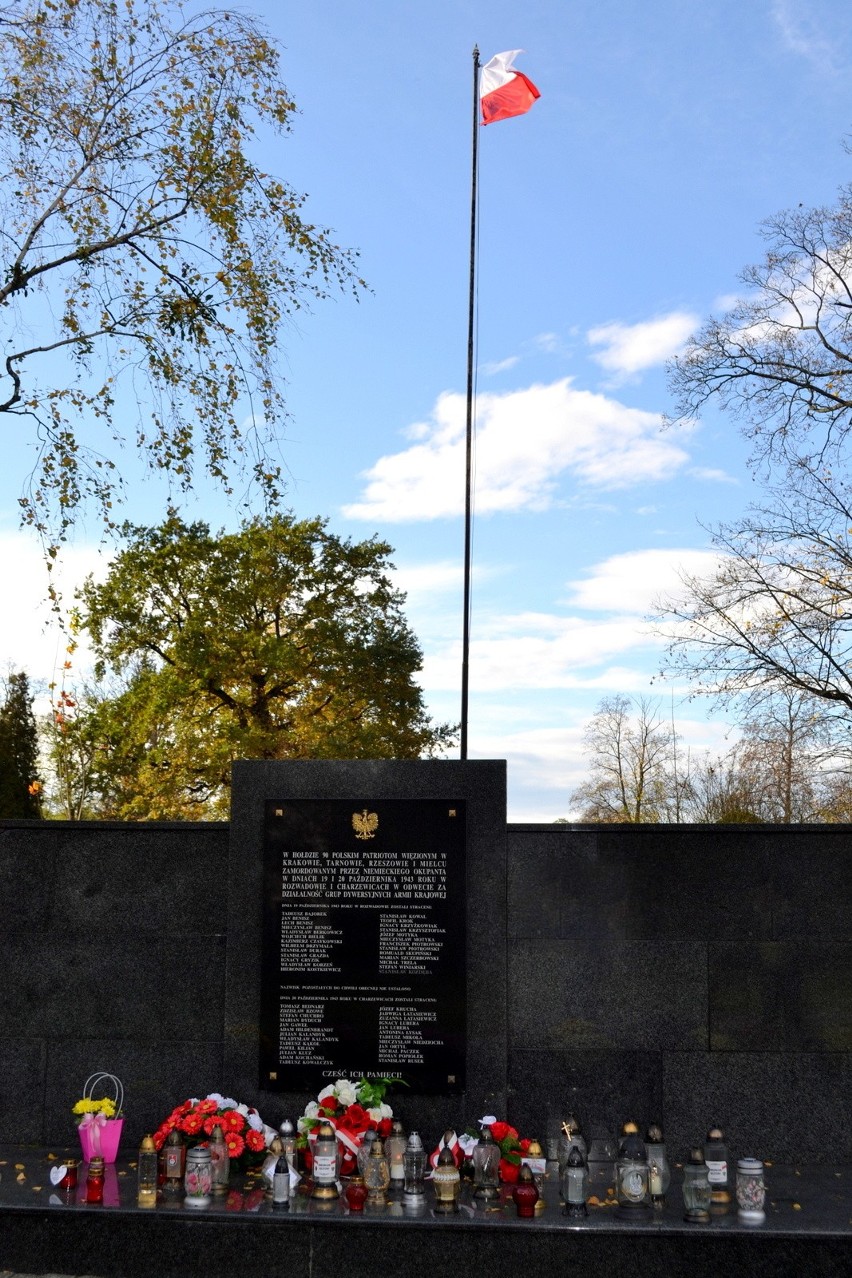 Znicze Pamięci dla ofiar niemieckiej okupacji i walczących o wolność oraz budowniczych w Stalowej Woli. Zobacz zdjęcia