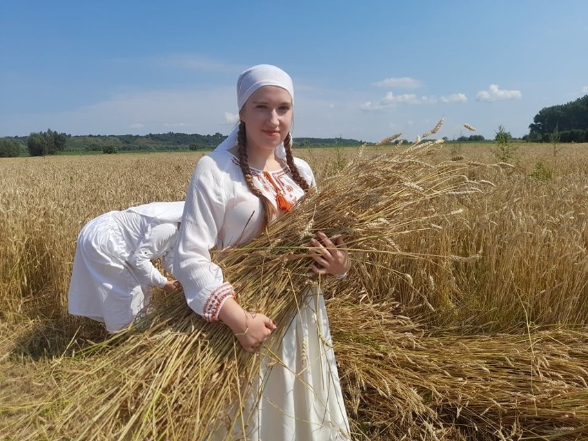 Staropolskie żniwa w Nadbrzeziu! W Sandomierzu odbył się wyjątkowy pokaz pracy rolników (ZDJĘCIA)