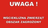 Uwaga wścieklizna! !