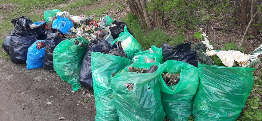 Akcja "Solidarnego sprzątania" w Suchedniowie. Aktywiści posprzątali cały lasek! [ZDJĘCIA] 