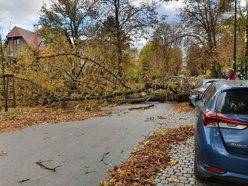 Więcej zdjęć z Wrocławia i całego Dolnego Śląska obejrzycie...