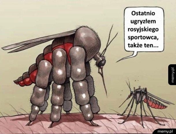 Memy o komarach. Te małe hultaje doprowadzają nas do szału. Zobacz, jak internet reaguje na plagę komarów [15.07.2021]