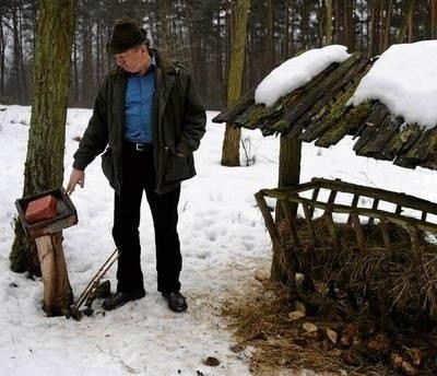 Leśnicy w Małopolsce będą dokarmiać zwierzęta do końca marca FOT. SŁAWOMIR SEIDLER