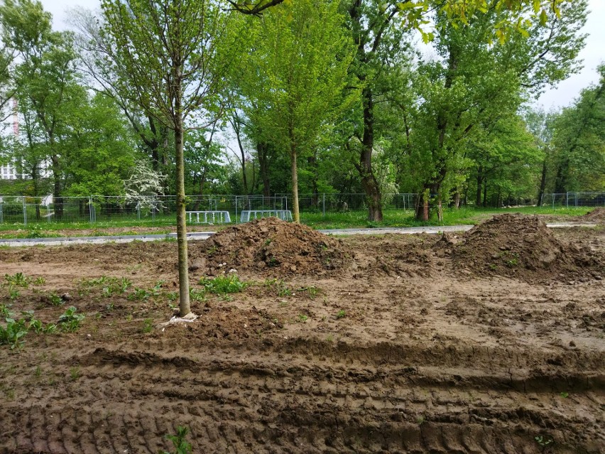 W Krakowie powstaje Park Rzeczny Ogród Płaszów