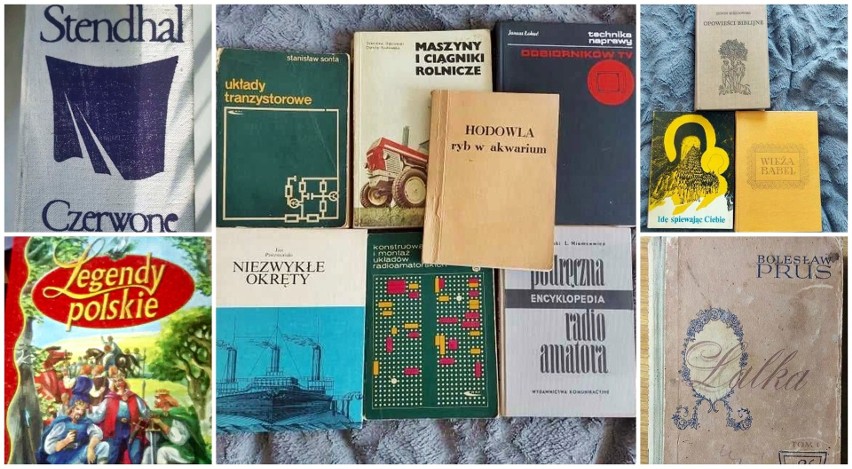 Zobacz książki, które są dostępne za darmo w Lublinie