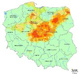Połowa gmin w województwie łódzkim zagrożona suszą