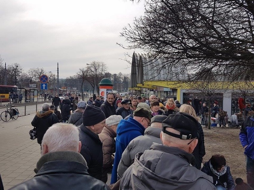 Lex Szyszko. Inicjatywa Polska rozdawała darmowe sadzonki drzew