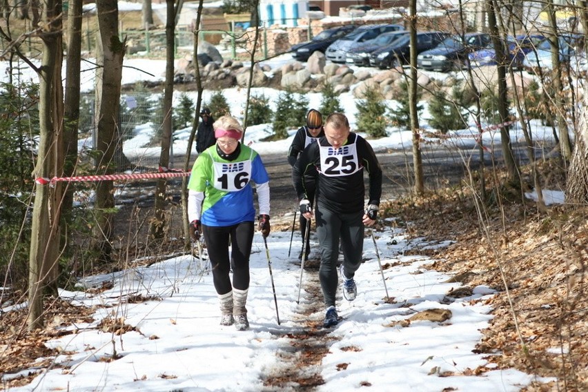 Zawody nordic walking 
Zawody nordic walking