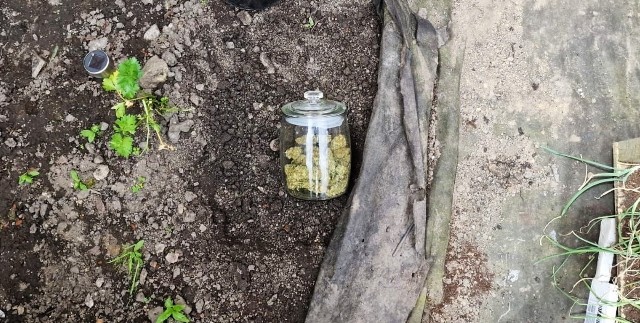 Słoik z nielegalnym suszem znaleziony w ogrodzie w Nowym Sączu