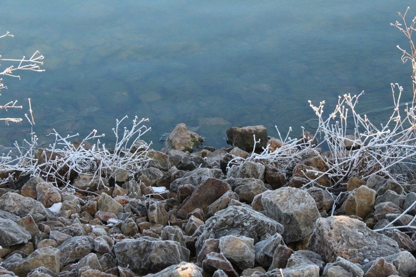 Jezioro Pogoria IV w zimowej odsłonie