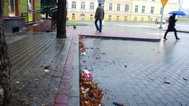 Jak widać, w centrum miasta przy krawężnikach jest sporo śmieci. Są i rzucone papiery, i liście.